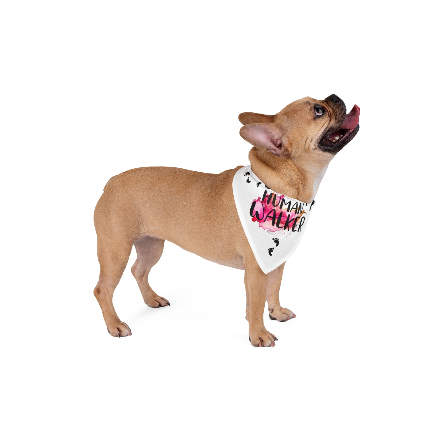 Pet Bandana Human Walker Quote